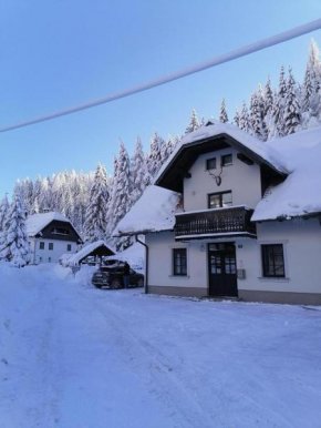 Apartman Irvin